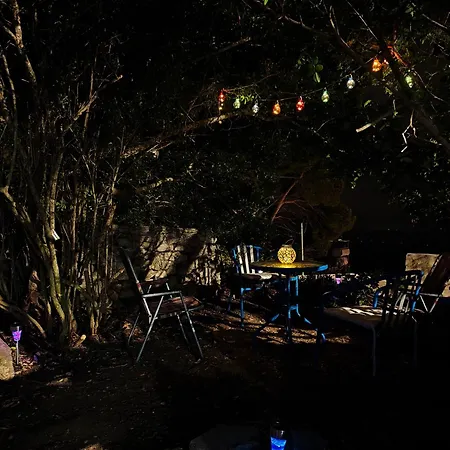 Dc Family & Garden - Traditional