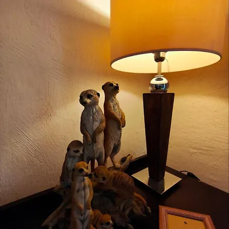 Dc Family & Garden - Traditional