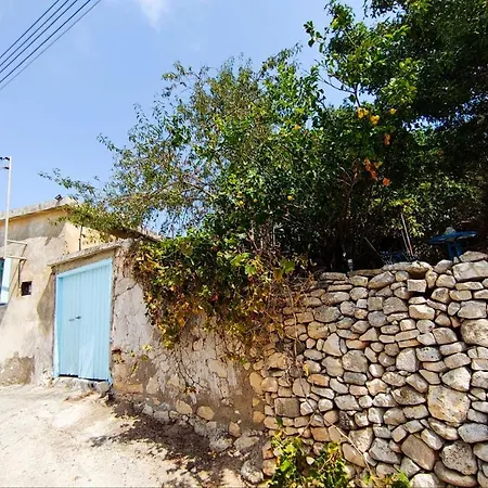 Dc Family & Garden - Traditional Pano Arodes