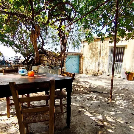 Dc Family & Garden - Traditional بيت للعطل