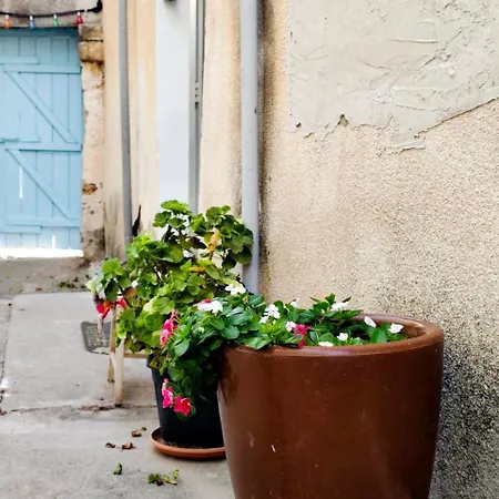 بيت للعطل Dc Family & Garden - Traditional