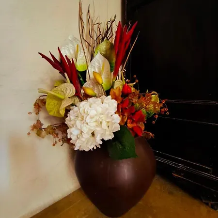 Dc Family & Garden - Traditional Pano Arodes