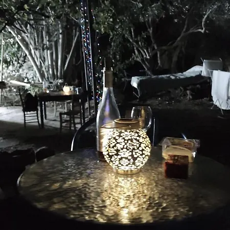 بيت للعطل Dc Family & Garden - Traditional Pano Arodes