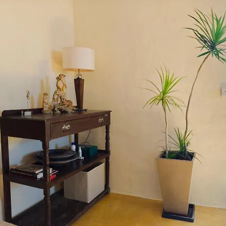 Dc Family & Garden - Traditional Pano Arodes