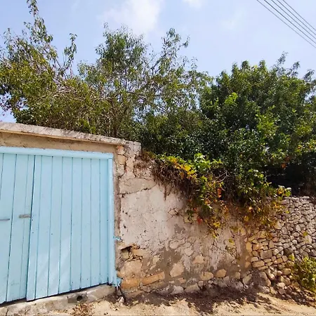 Dc Family & Garden - Traditional * Pano Arodes