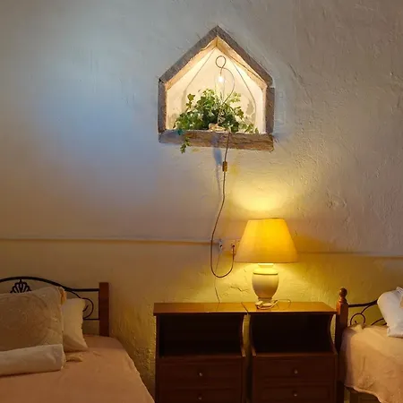 Dc Family & Garden - Traditional * Pano Arodes